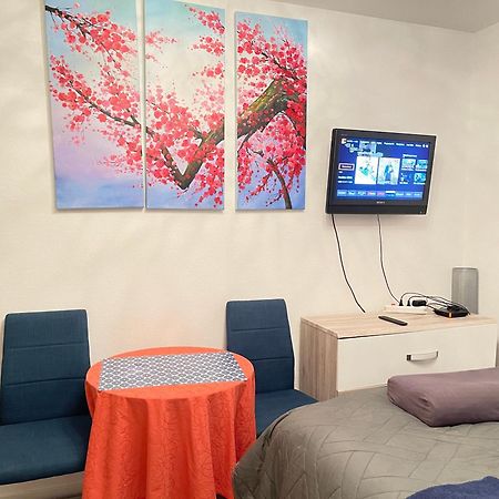 Top Studio Full Optional Saint Louis Vicino Stazione Saint Louis 68300 France Exterior foto